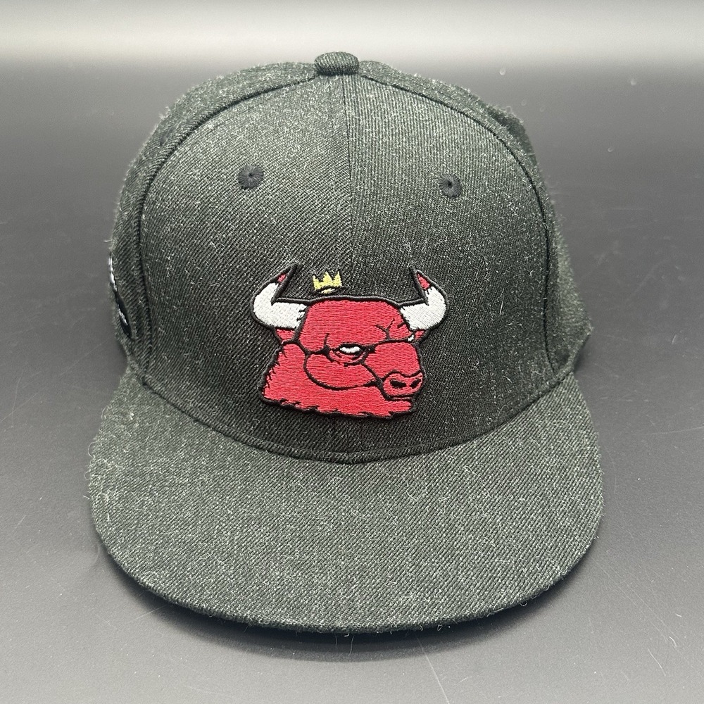 Rare Chicago Bulls JC Rivera Artist Series Snapback Hat 2017 SGA Skyline Crown